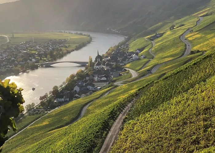 Weingut Lehnert-spaeter * פיספורט